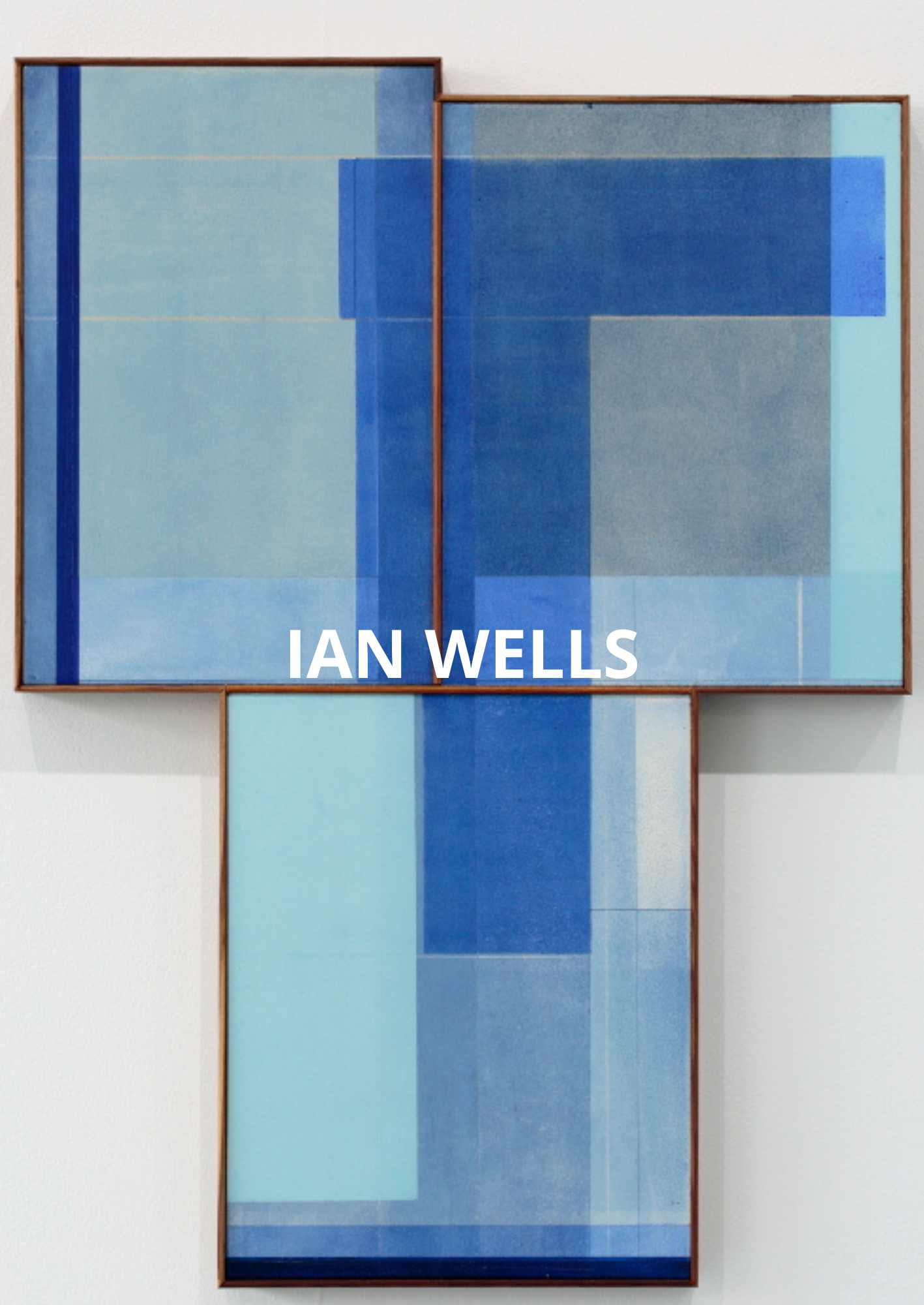 IAN WELLS