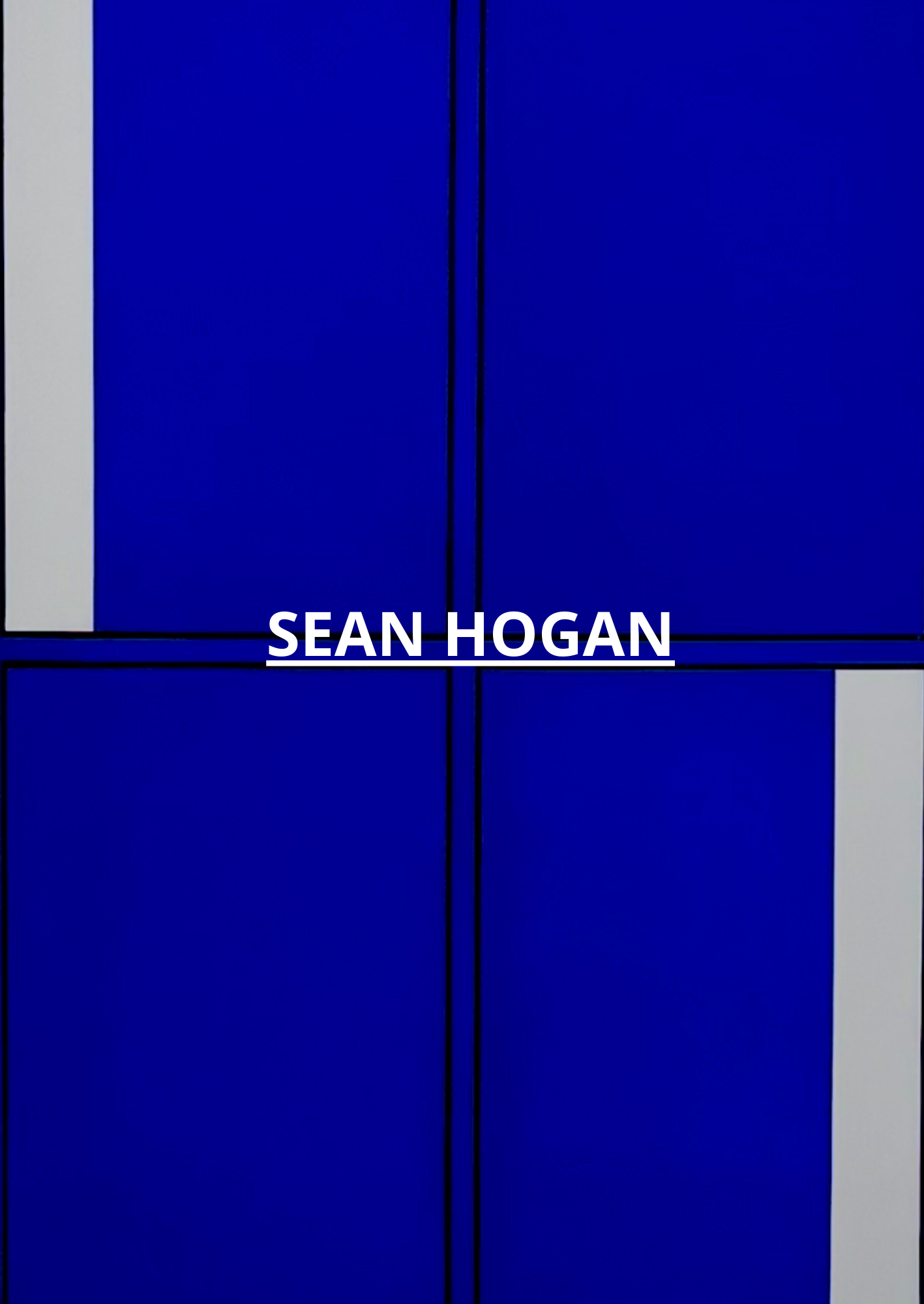 SEAN HOGAN