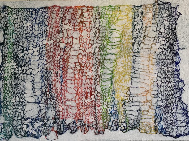 LINDA JUDGE | THE REMNANTS OF JOHANNES CARDIGAN 